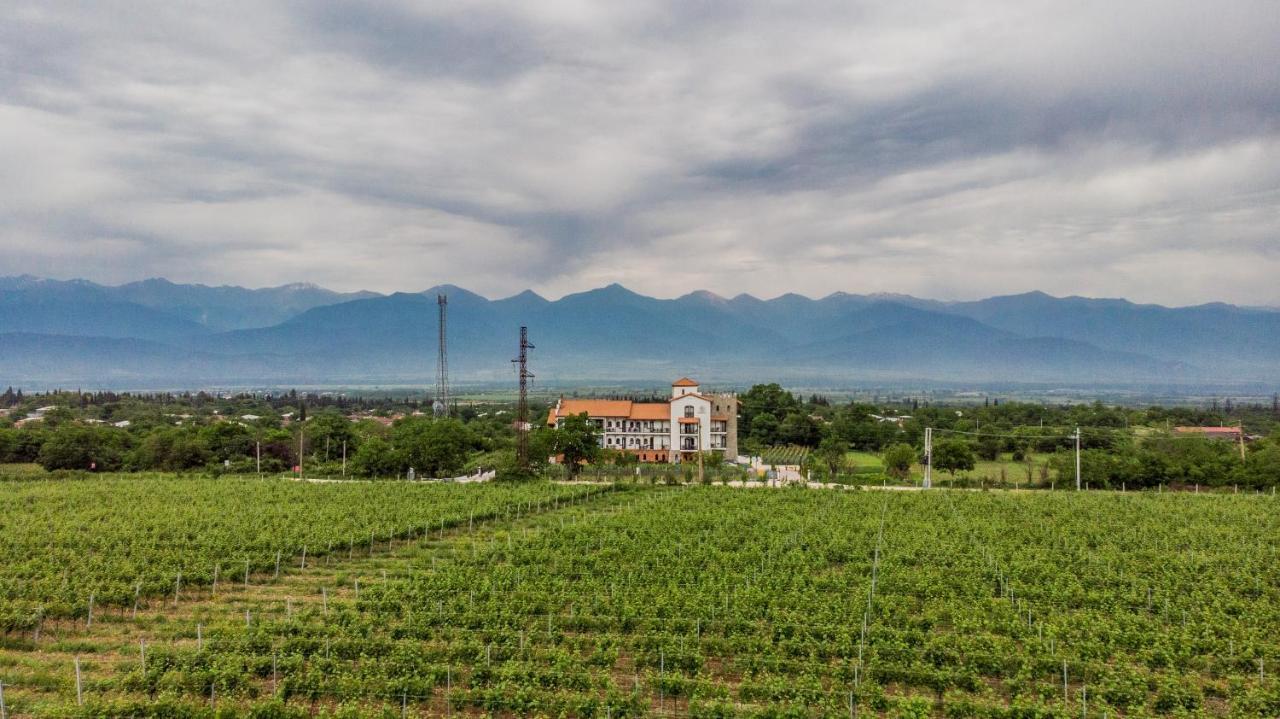 Tsinandali Resort & Spa 외부 사진